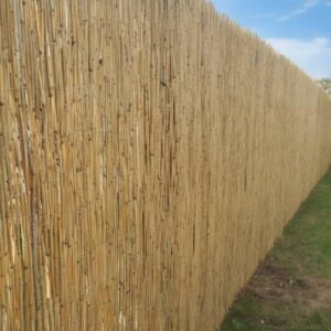 MATA TRZCINOWA 600 cm