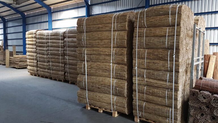 Trzcina czy wiklina ?